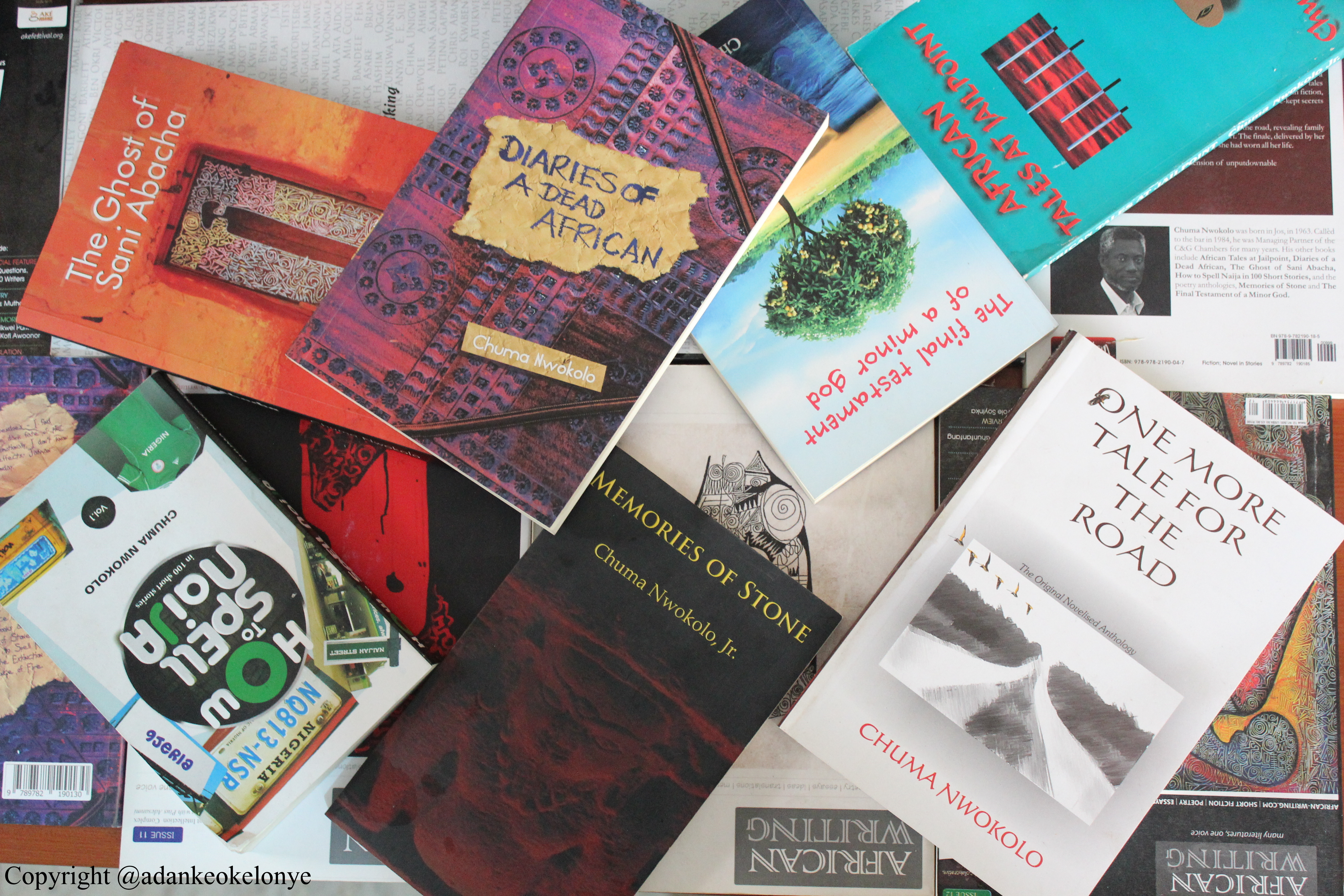 Collection of Chuma Nwokolo's Books 2
